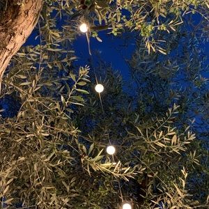 Meet your Posher, Sk